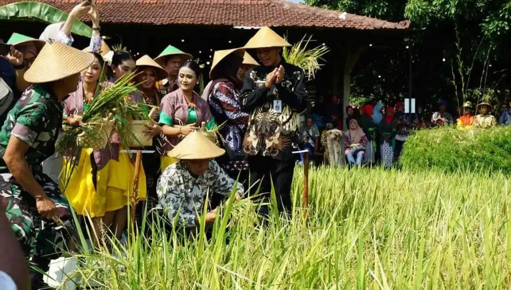 Wiwitan Padukuhan | Upacara adat yogyakarta