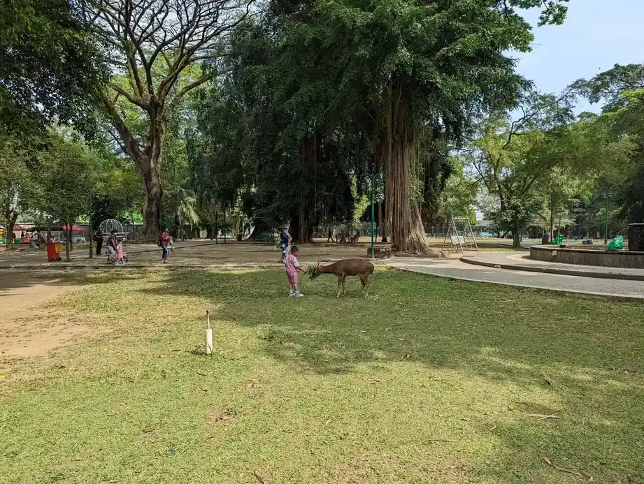 Suasana Taman Balekambang