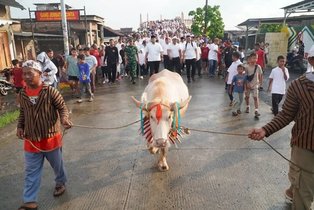 Tradisi Kirab Kebo Bule pada Malam 1 Suro
